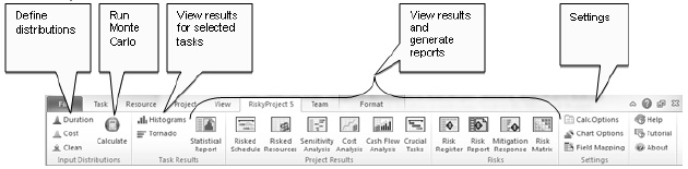 riskyproject add-on
